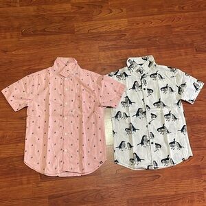 Bundle of 2 Boys Button Down Polos